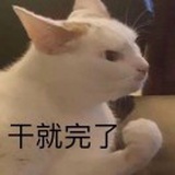 今天有点无语子