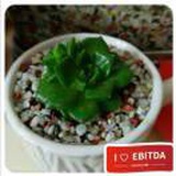 亞瑟艾伦