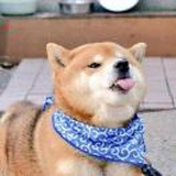 月落昏昏