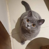 暗里着迷
