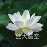 与世无争