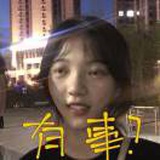 猫捡球