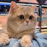 豆友223757137