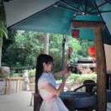 杨柳玉