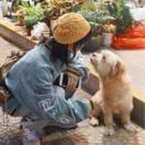 士多啤梨苹果橙