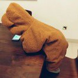 DEAR BEAR