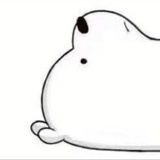坨坨橙zzz