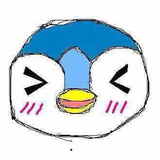 考拉今晚不学习