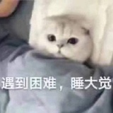 不是我不是我