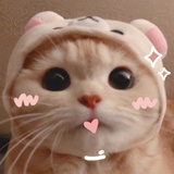 一只小舟
