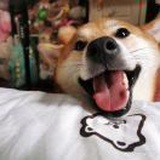 乐观QAQ