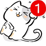 橘子皮