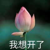 居居