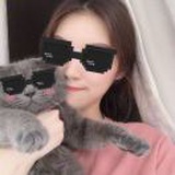 费彤彤