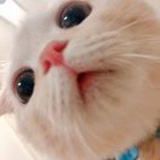 幼儿园吃饭第一