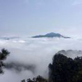 阿白