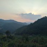 微尘