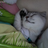 丢丢