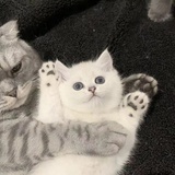 沿江