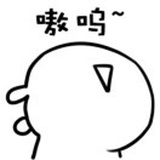 捡破烂养你