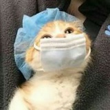 树下站着个我