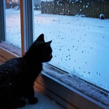 冷雨季末