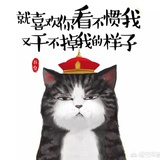 银河气泡