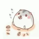 月飘零落