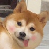 我要留马尾