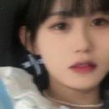 顾淼.