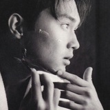 恋恋飞过