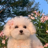 cici的小世界