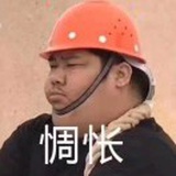 位卑未敢忘忧国