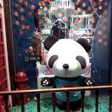 洛桦棠
