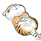 CMCC的
