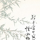 梦梦