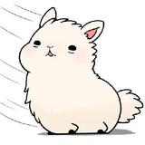 小新