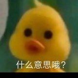 可爱小黄鸭🐥