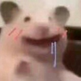 嗯嗯