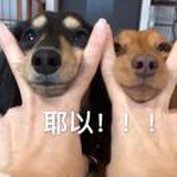 雅哈哈