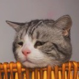 李杭