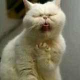 求求mm快别吃了