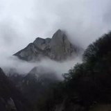 读书人鑫硕
