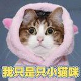 人微颜轻er