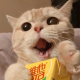 尔库沃