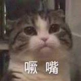 就是我快加快加