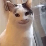 iiiyo