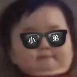 爱吃兔子的胡萝
