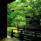 顺势而为199561