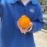 揪心的玩笑与漫